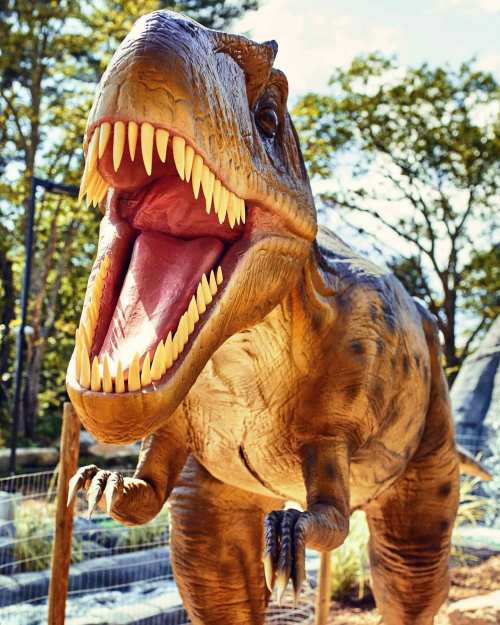 A lifelike dinosaur sculpture with an open mouth, showcasing sharp teeth, set in a natural outdoor environment.
