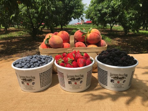 Three white buckets filled with blueberries, strawberries, and blackberries, with a basket of peaches in the background.