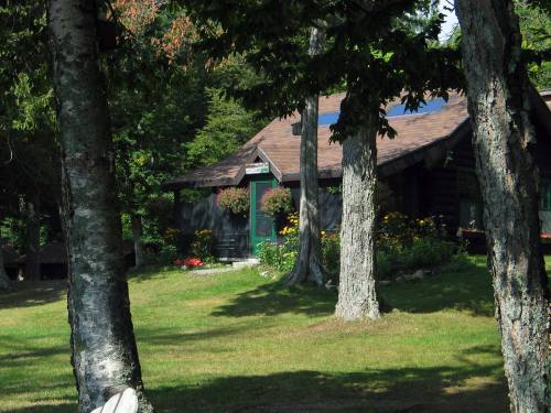 A cozy log cabin surrounded by trees and colorful flowers on a sunny day.