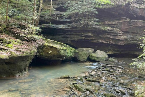 A serene forest scene featuring a rocky overhang, flowing water, and lush greenery.