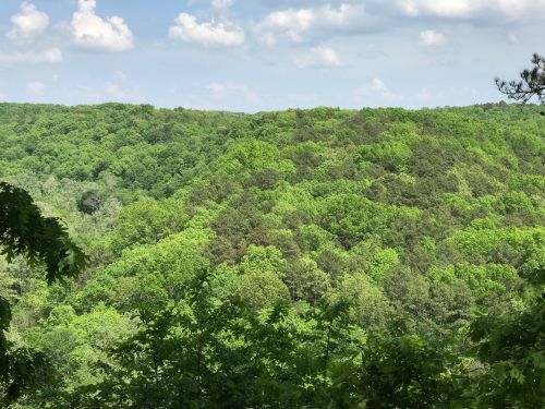Lush green hills under a partly cloudy sky, showcasing a vibrant forest landscape.