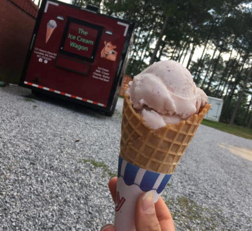 A hand holds a waffle cone with pink ice cream in front of an ice cream truck in a gravel area.