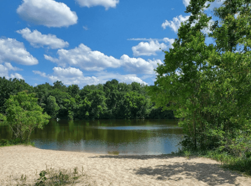 A serene lake surrounded by lush greenery and sandy shore under a bright blue sky with fluffy white clouds.