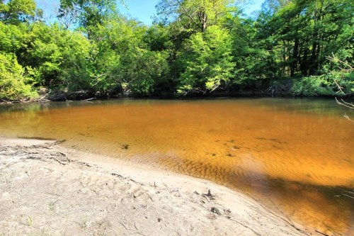 A serene riverbank with clear, shallow water reflecting green trees and a sandy shore under a bright blue sky.