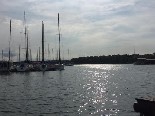 A serene marina scene with sailboats docked, reflecting sunlight on calm water under a cloudy sky.