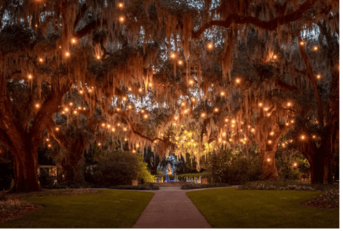 A serene garden path illuminated by string lights hanging from moss-covered trees at dusk.