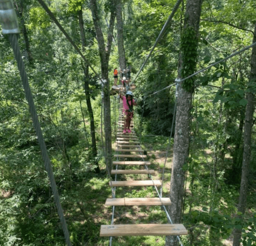 Aerial view of a rope bridge in a forest, with people navigating the course among the trees.