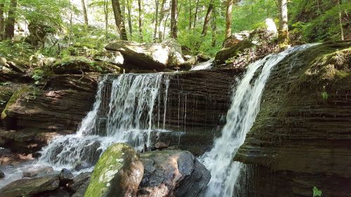 A serene waterfall cascades over rocky ledges, surrounded by lush green trees in a tranquil forest setting.