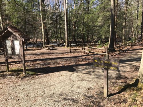 A wooded area with a sign for Flat Rock Trail, indicating bicycles are prohibited, and a picnic area in the background.