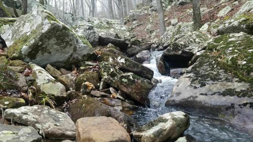 A serene stream flows over rocks in a misty forest, surrounded by moss-covered stones and bare trees.