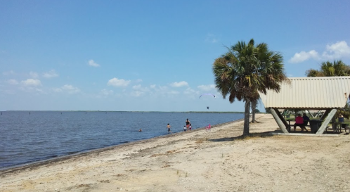 A sunny beach scene with people swimming, a picnic area, and a palm tree by the water under a clear blue sky.