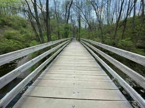 A wooden bridge stretches through a lush green forest, with trees lining both sides and a clear blue sky above.