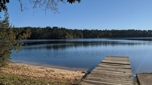 A serene lake view with a wooden dock, surrounded by trees under a clear blue sky.
