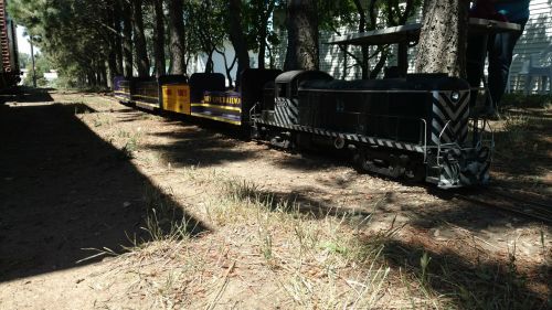 A model train with a black locomotive and colorful cars sits on tracks under trees, surrounded by grass and shade.