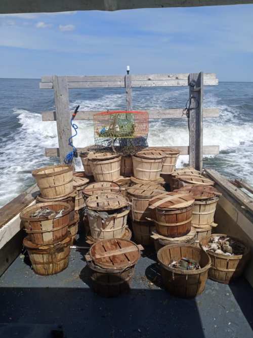 A boat deck filled with wooden baskets, some with seafood, as it moves through calm waters under a clear sky.
