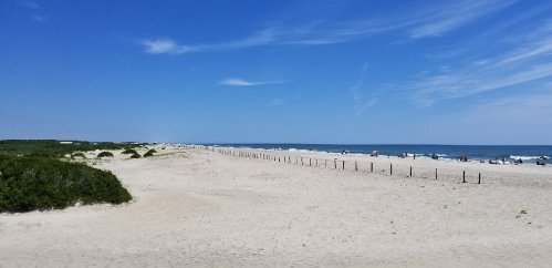 A sunny beach scene with soft sand, green dunes, and people enjoying the water under a clear blue sky.