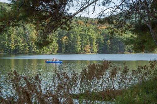 A serene lake scene with two people kayaking, surrounded by lush green trees and tall grasses in the foreground.