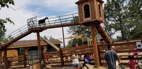 A wooden play structure with a ramp and lookout, surrounded by children and adults at a petting zoo.