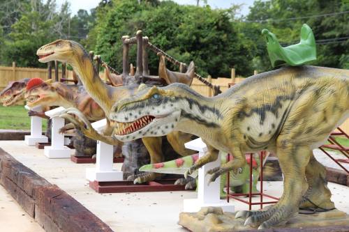 A row of colorful dinosaur sculptures in a park, featuring various species like T. rex and others on display.