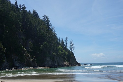 A serene beach scene with gentle waves, rocky cliffs, and lush green trees under a clear blue sky.