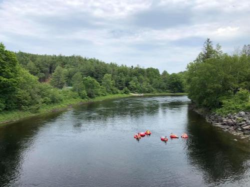 A calm river surrounded by greenery, with several red inflatable rafts floating on the water.