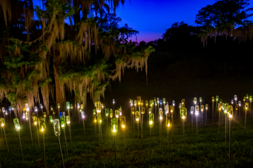 A field of illuminated glass bottles on poles, surrounded by trees and Spanish moss, under a twilight sky.