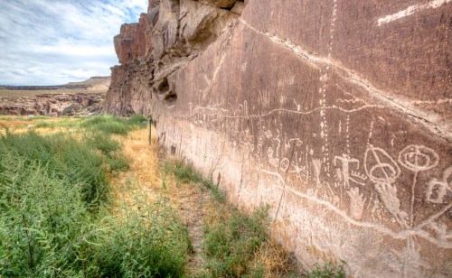 Petroglyphs etched into a rocky cliffside, surrounded by tall grass and a scenic landscape under a cloudy sky.
