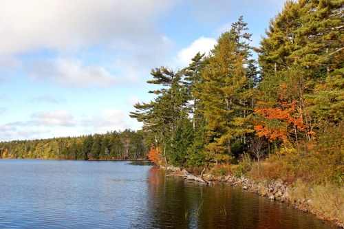 A serene lake surrounded by trees, showcasing autumn colors and a clear blue sky.