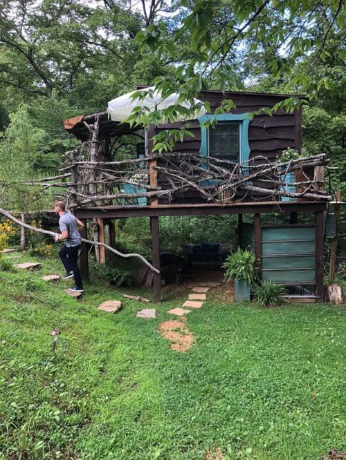 A person walks towards a rustic treehouse surrounded by greenery, with a wooden deck and natural decor.