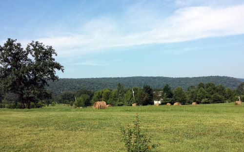 A scenic landscape featuring green fields, hay bales, trees, and rolling hills under a clear blue sky.