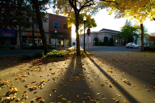 A sunlit street scene with autumn leaves on the ground, casting long shadows from trees and buildings.