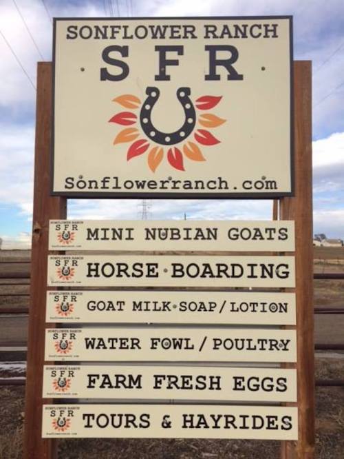 Sign for Sonflower Ranch featuring services like horse boarding, mini Nubian goats, and farm fresh eggs.
