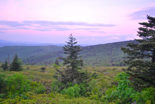 A scenic view of rolling green hills and trees under a pastel sky at dusk.