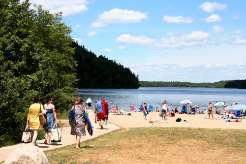 A sunny beach scene with people walking, lounging, and swimming by a lake, surrounded by trees and blue skies.