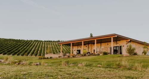 A modern house with a porch, surrounded by lush green vineyards under a clear sky.