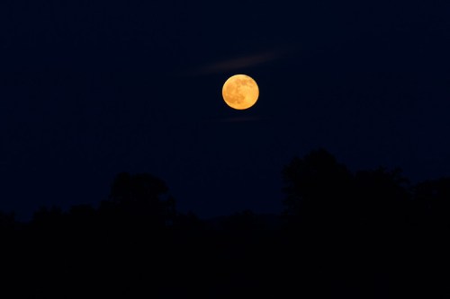 A bright full moon glowing in a dark night sky, partially obscured by wispy clouds, with silhouettes of trees below.