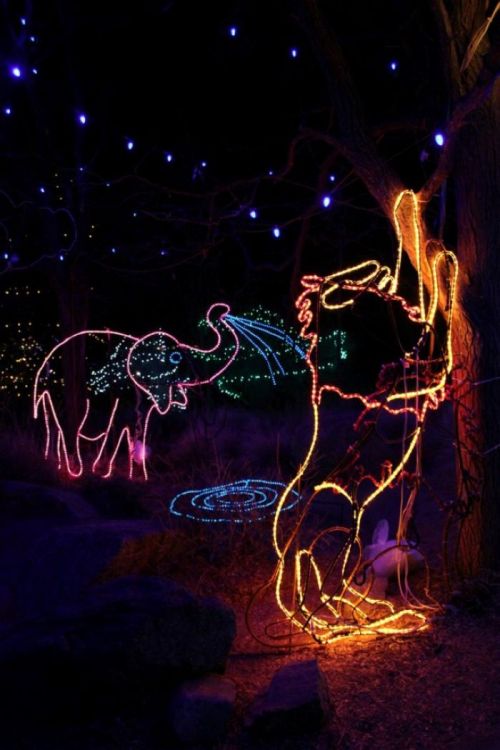 Colorful light displays of an elephant and a lion against a dark night sky, surrounded by twinkling stars.