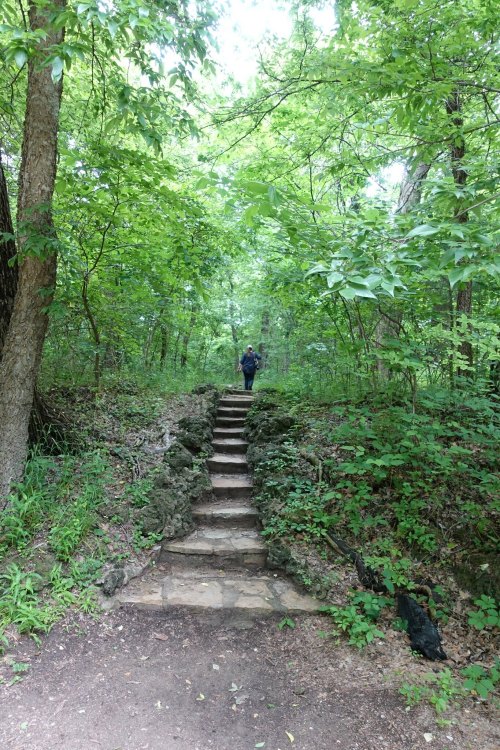 A person walks up stone steps through a lush green forest with trees and foliage surrounding the path.