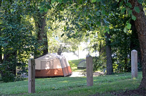 A campsite with tents nestled among trees, near a body of water, on a sunny day.