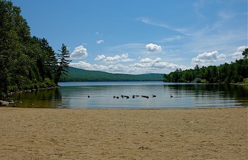 A serene lake scene with a sandy shore, surrounded by trees and mountains, featuring ducks swimming in the calm water.