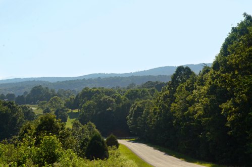 A winding road surrounded by lush green trees and rolling hills under a clear blue sky.