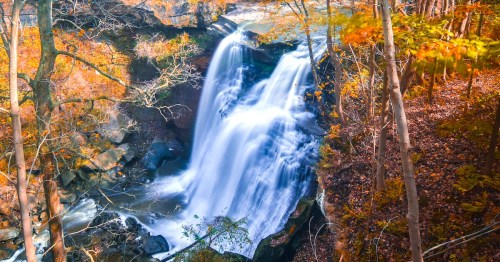 A serene waterfall cascades through autumn-colored trees, surrounded by vibrant orange and yellow foliage.