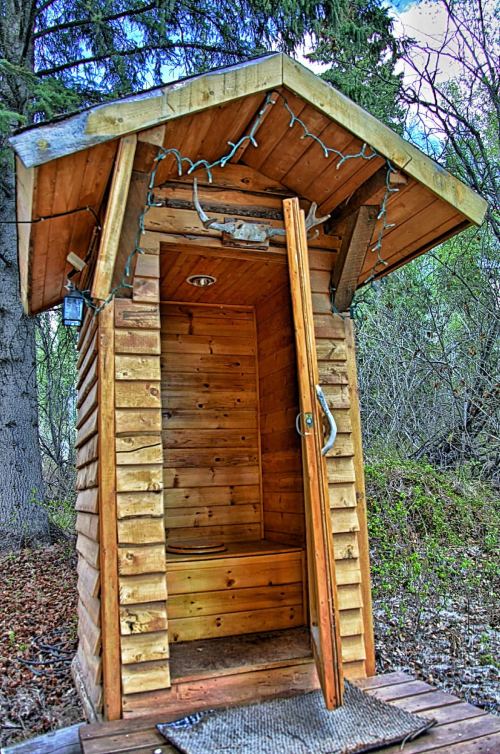 A rustic wooden outhouse with an open door, surrounded by trees and greenery.