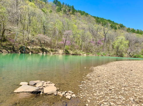 A serene riverbank with clear water, rocky shore, and lush green trees, under a bright blue sky.