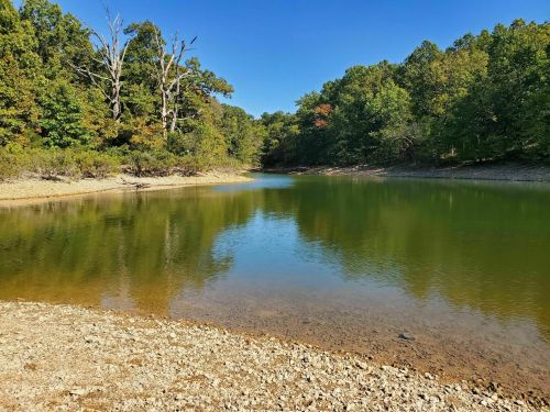 A serene lake surrounded by trees, reflecting the clear blue sky and autumn foliage on the water's surface.