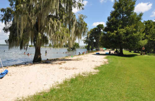 A sandy beach by a lake, with people swimming and trees draped in Spanish moss along the shore.