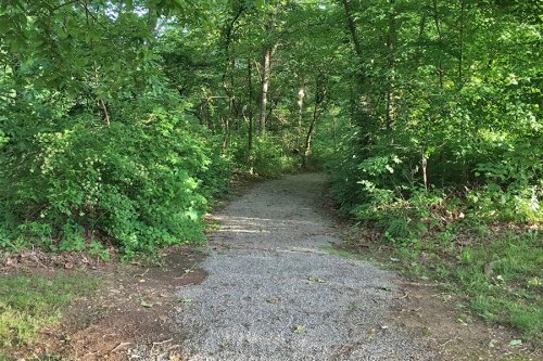 A gravel path leads into a lush, green forest surrounded by trees and foliage.