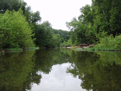 A calm river surrounded by lush green trees, reflecting the sky and foliage on its surface.