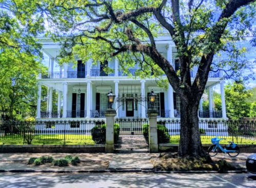 A grand white mansion with columns, surrounded by lush greenery and a large tree, set behind a decorative fence.