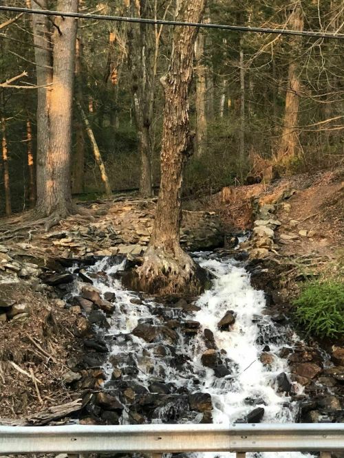 A small waterfall cascades over rocks in a wooded area, surrounded by trees and greenery.